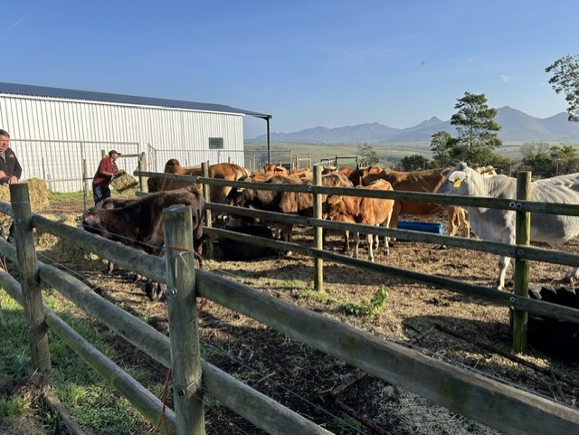 Commercial Property for Sale in Mossel Bay Rural Western Cape